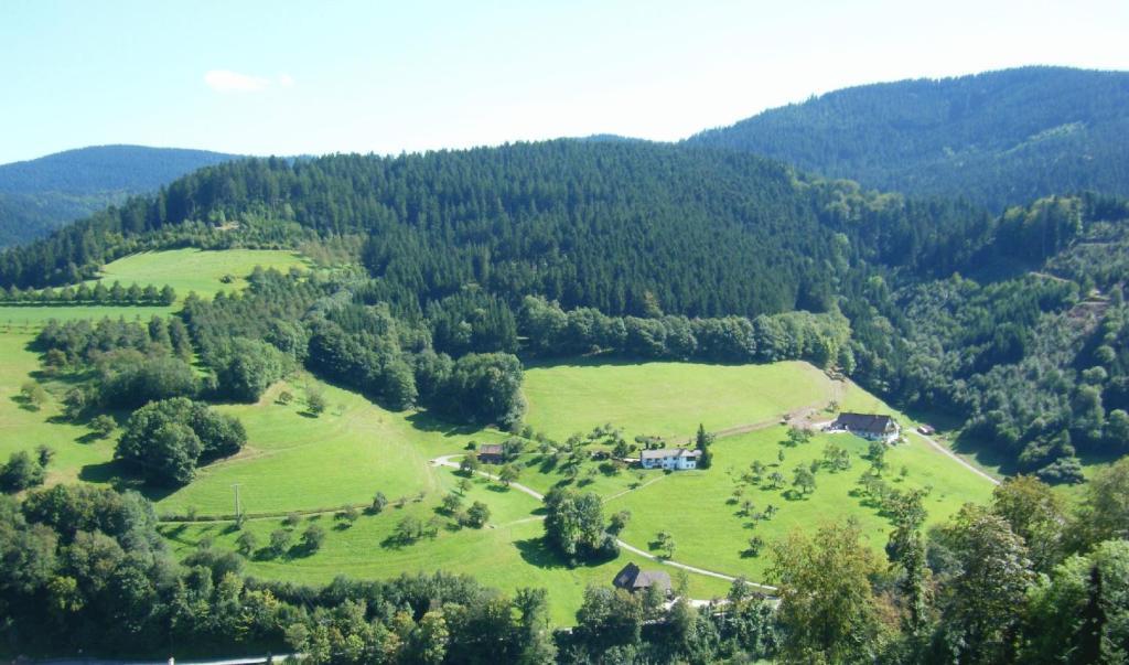 Hotel Schauinsland Bad Peterstal-Griesbach Zimmer foto